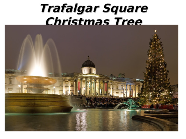 Trafalgar Square Christmas Tree 
