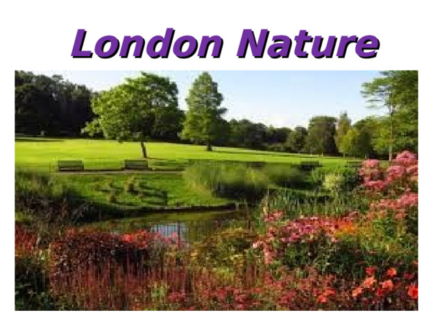 London Nature 
