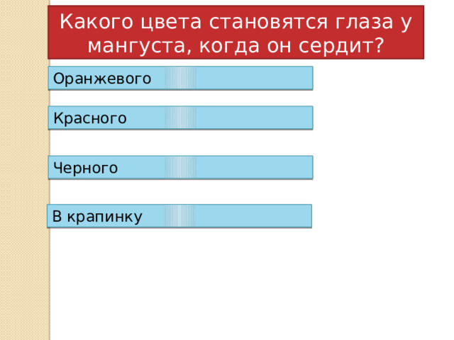 Какого цвета становятся глаза у мангуста, когда он сердит? Оранжевого Красного Черного В крапинку 