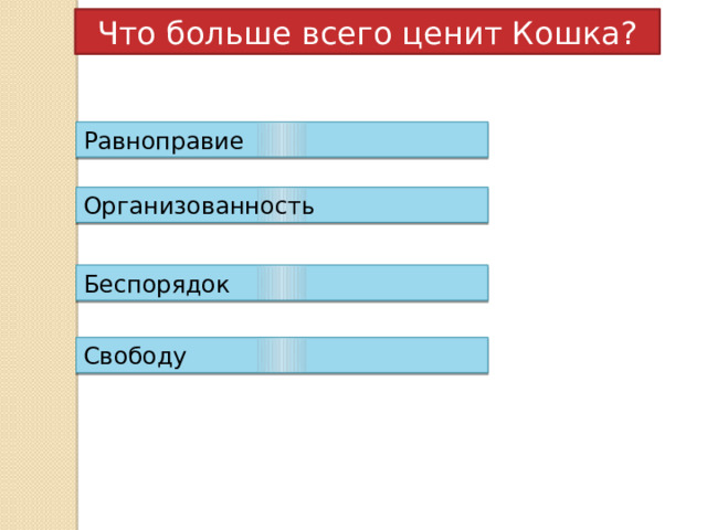 Что больше всего ценит Кошка? Равноправие Организованность Беспорядок Свободу 