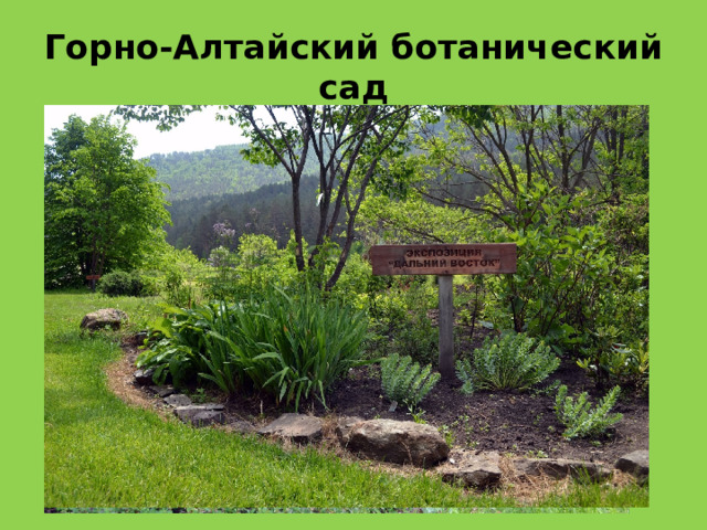 Горно-Алтайский ботанический сад 