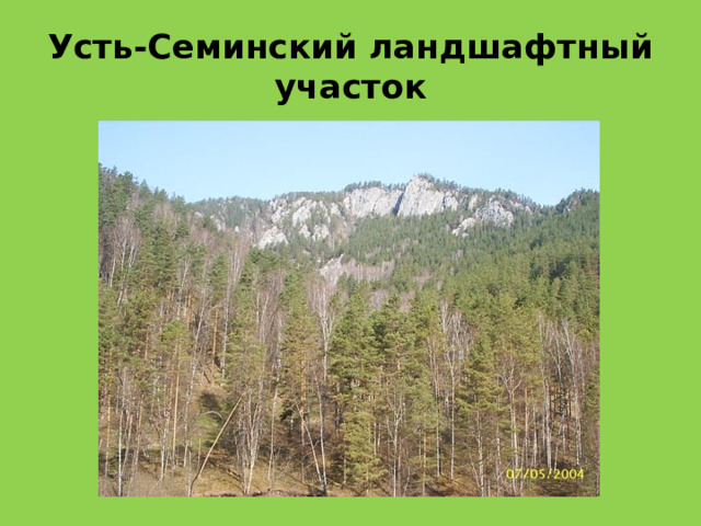 Усть-Семинский ландшафтный участок 