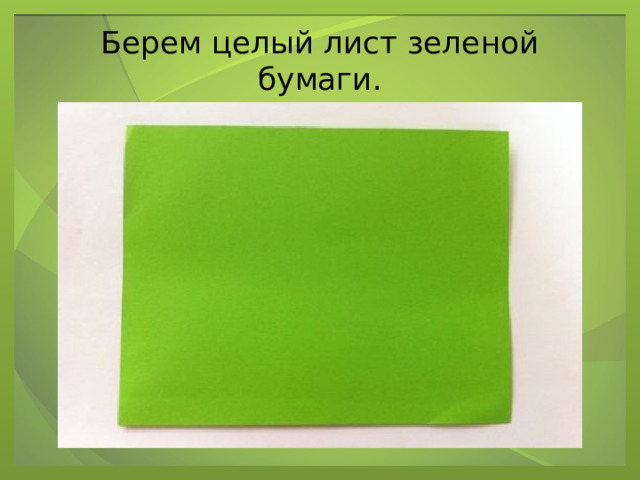 Берем целый лист зеленой бумаги. 