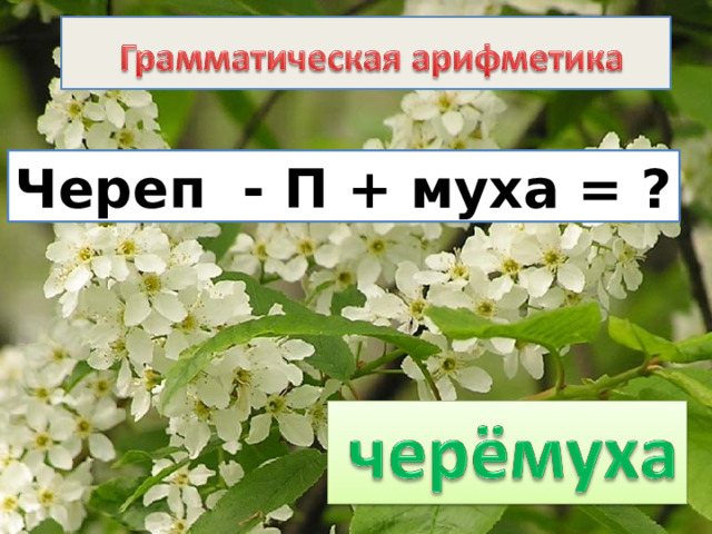 Череп - П + муха = ? 
