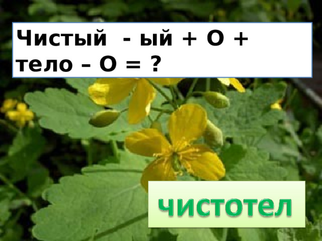 Чистый - ый + О + тело – О = ? 
