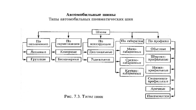 Автомобильные шины Типы автомобильных пневматических шин 