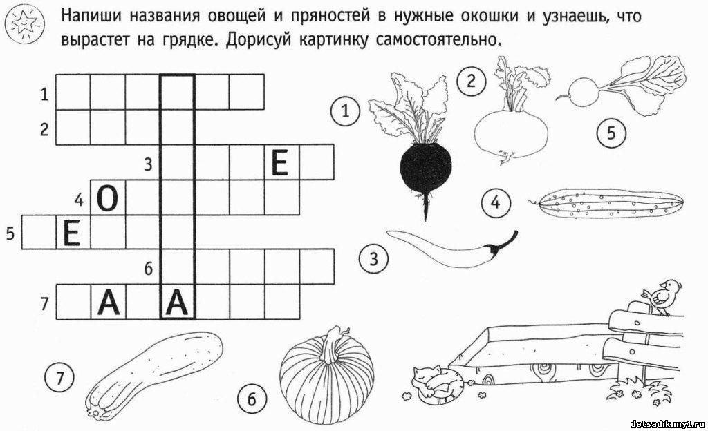 Задания по экологии для дошкольников в картинках