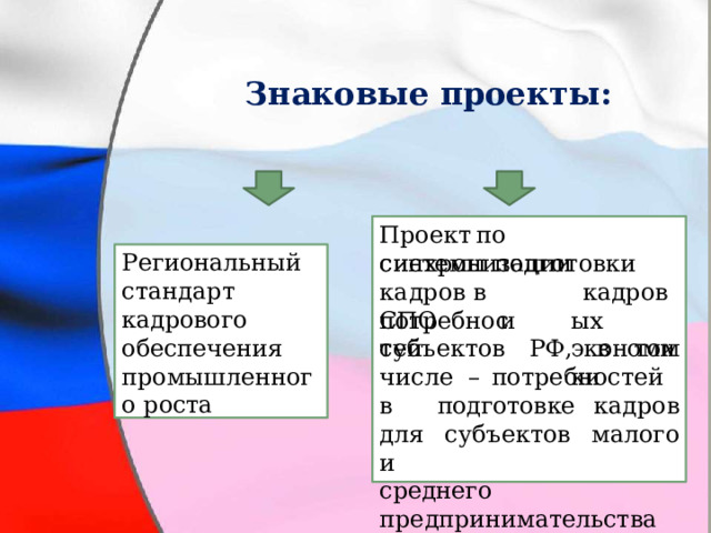 Знаковые  проекты: Проект  по  синхронизации Региональный стандарт кадрового обеспечения промышленного роста системы  подготовки  кадров  в СПО  и кадровых экономики потребностей субъектов  РФ,  в  том  числе  – потребностей  в  подготовке кадров  для  субъектов  малого и  среднего предпринимательства 