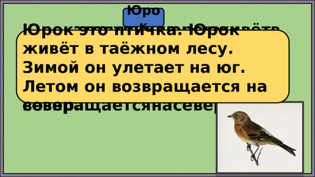 Юрок Юрокэтоптичкаюрокживётвтаёжном лесузимойонулетаетнаюглетомон возвращаетсянасевер Юрок это птичка. Юрок живёт в таёжном лесу. Зимой он улетает на юг. Летом он возвращается на север. 