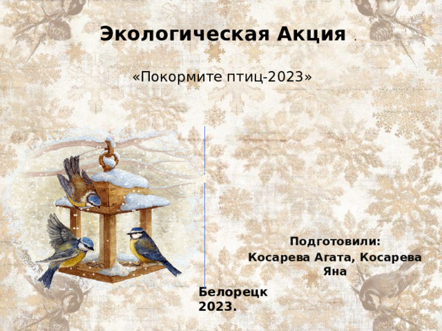 Экологическая Акция . «Покормите птиц-2023»    Подготовили: Косарева Агата, Косарева Яна Белорецк 2023. 