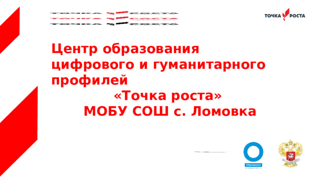 Центр образования цифрового и гуманитарного профилей «Точка роста» МОБУ СОШ с. Ломовка 