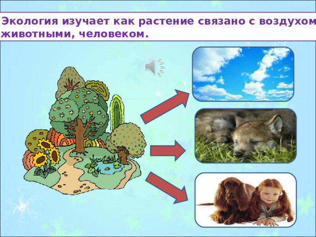 Как животные связаны с растениями приведи примеры