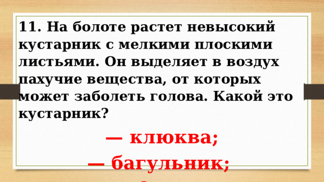 11. На болоте растет невысокий кустарник с мелкими плоскими листьями. Он выделяет в воздух пахучие вещества, от которых может заболеть голова. Какой это кустарник? — клюква; — багульник; — сфагнум. 