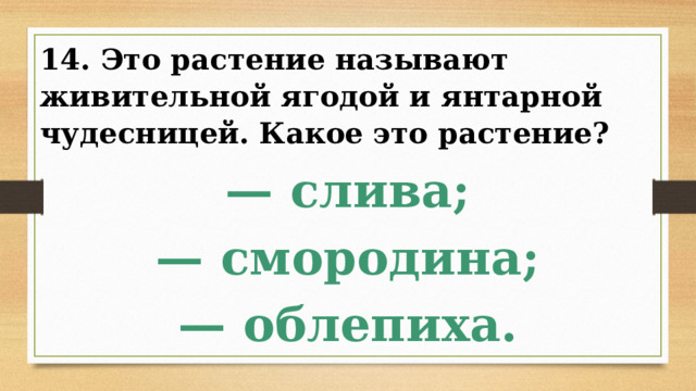 14. Это растение называют живительной ягодой и янтарной чудесницей. Какое это растение? — слива; — смородина; — облепиха. 