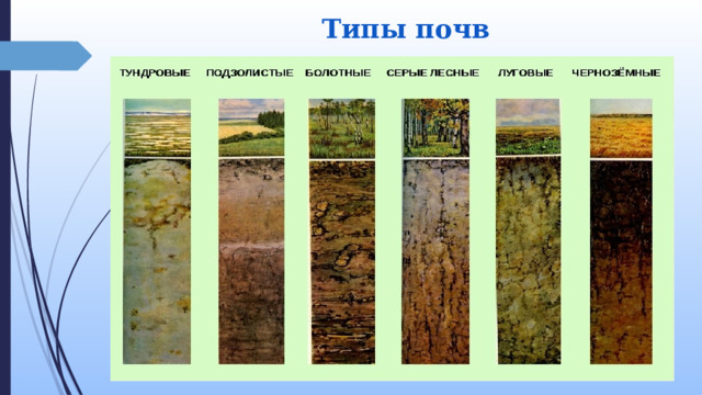 Дерново подзолистый тип почвы природная зона. Почва особое природное тело. Почва это особое природное. Природная зона России почва особое природнаетело. Проект на тему почва особое природное тело.