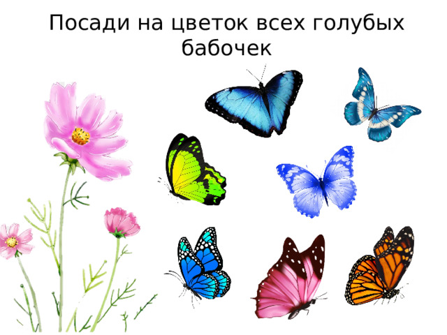 Посади на цветок всех голубых бабочек 