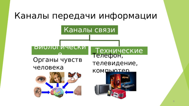 Каналы передачи информации Каналы связи Биологические Технические Телефон, телевидение, компьютер Органы чувств человека 6 