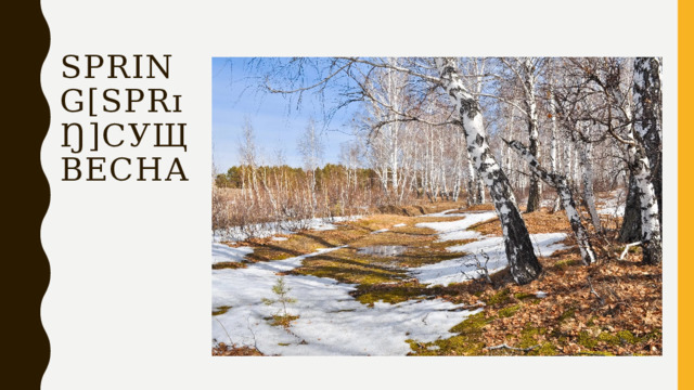 spring[sprɪŋ]сущ  весна 