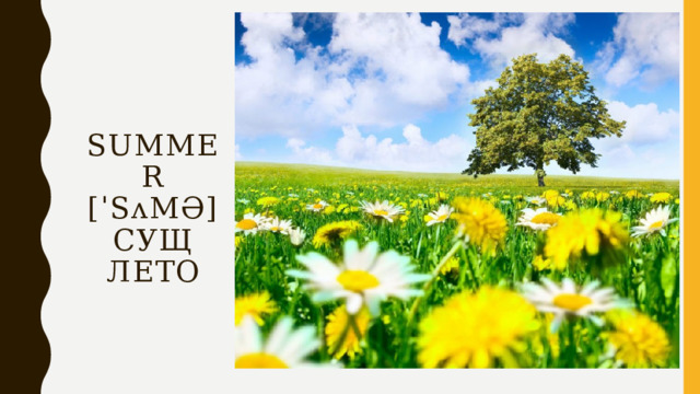 Summer  [ˈsʌmə]  сущ  лето 