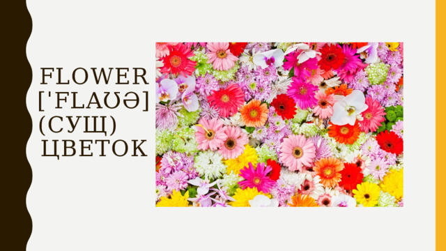 Flower  [ˈflaʊə]  (сущ) цветок 
