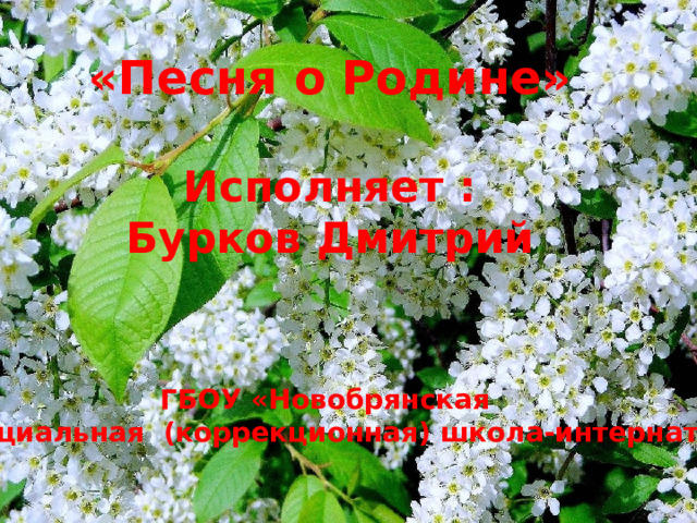 «Песня о Родине»  Исполняет : Бурков Дмитрий    ГБОУ «Новобрянская специальная (коррекционная) школа-интернат» 