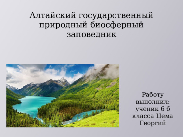 Алтайский государственный природный биосферный заповедник Работу выполнил: ученик 6 б класса Цема Георгий 