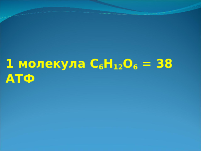 1 молекула C 6 H 12 O 6 = 38 АТФ  