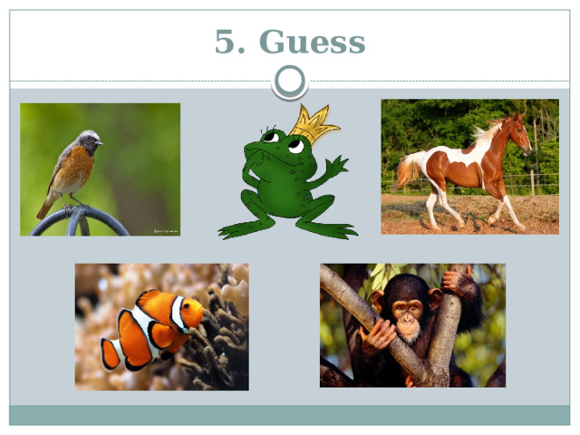 5. Guess 