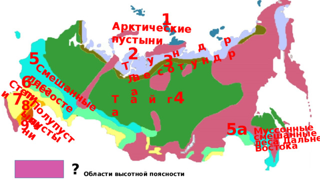 Т у н д р а Л е с о т у н д р а Арктические пустыни Лесостепи Муссонные смешанные леса Дальнего Востока Смешанные леса Степи Полупустыни пустыни 1 2 5 3 6 4 7 Т а й г а 8 9 5а ?  Области высотной поясности  