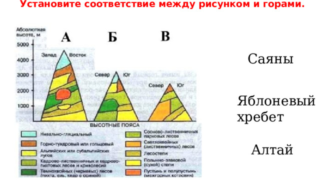  Установите соответствие между рисунком и горами. Саяны Яблоневый хребет Алтай 