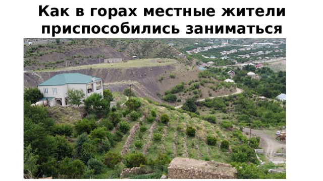 Как в горах местные жители приспособились заниматься земледелием? 