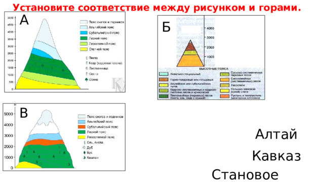  Установите соответствие между рисунком и горами. А Б В Алтай Кавказ Становое нагорье 