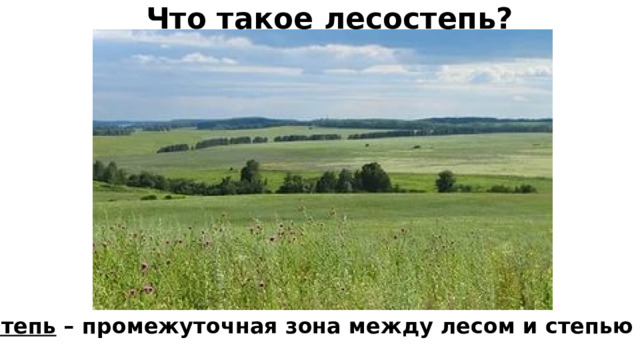 Лесостепи и степи конспект 8 класс. Ресурсы лесостепи. Лесостепь макет. Буклет лесостепи и степи. Лесостепи и степи презентация.