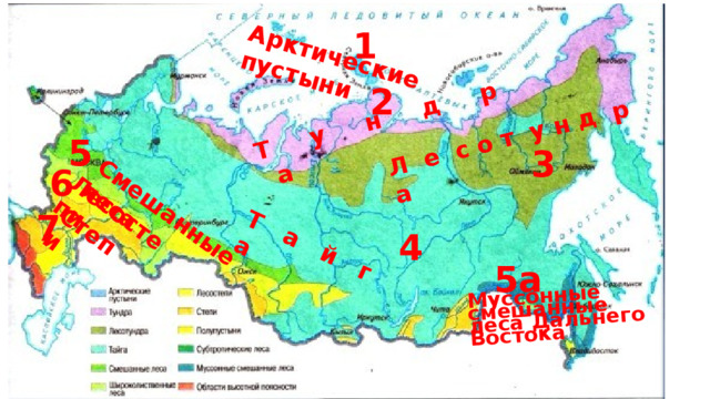 Т у н д р а Л е с о т у н д р а Арктические пустыни Т а й г а Лесостепи Муссонные смешанные леса Дальнего Востока Смешанные леса Степи 1 2 5 3 6 7 4 5а 