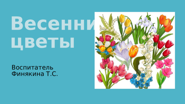 Весенние цветы Воспитатель Финякина Т.С. 