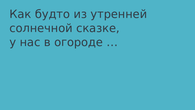Как будто из утренней солнечной сказке, у нас в огороде … 
