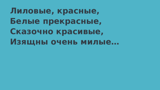 Лиловые, красные, Белые прекрасные, Сказочно красивые, Изящны очень милые… 