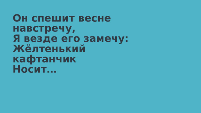 Он спешит весне навстречу,  Я везде его замечу:  Жёлтенький кафтанчик  Носит… 