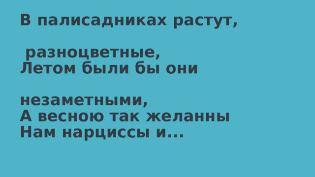 В палисадниках растут,                          разноцветные,  Летом были бы они                           незаметными,  А весною так желанны  Нам нарциссы и... 