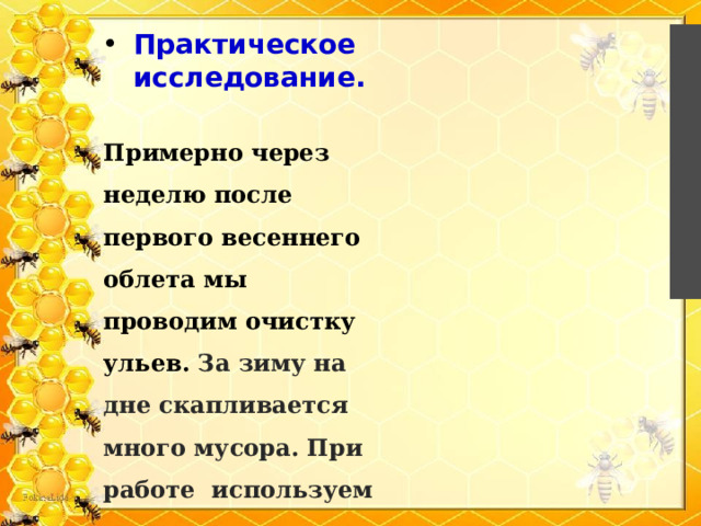 Практическое исследование.   Примерно через неделю после первого ве­сеннего облета мы проводим очистку ульев. За зиму на дне скапливается много мусора. При работе используем различные инструменты. 