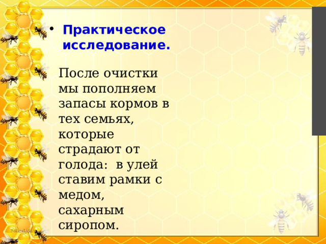 Практическое исследование.   После очистки мы пополняем запасы кормов в тех семьях, которые страдают от голода: в улей ставим рамки с медом, сахарным сиропом. 