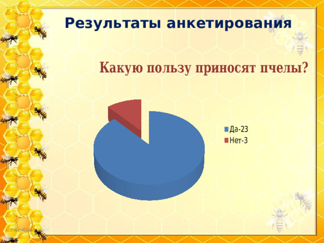 Результаты анкетирования 