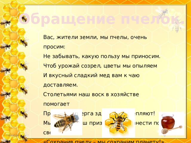 Презентация. Исследовательский проект "Пчела- удивительное создание природы"