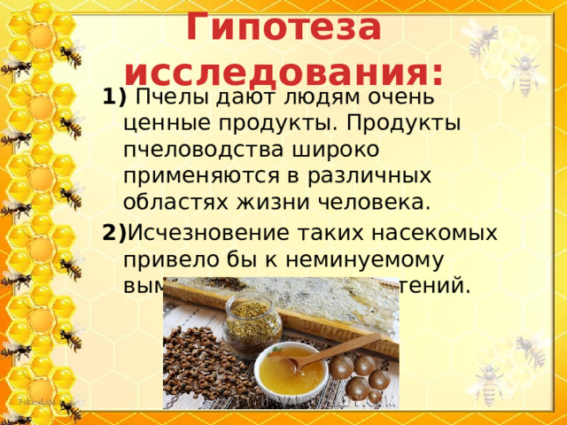  Гипотеза исследования:   1) Пчелы дают людям очень ценные продукты. Продукты пчеловодства широко применяются в различных областях жизни человека. 2) Исчезновение таких насекомых привело бы к неминуемому вымиранию многих растений. 