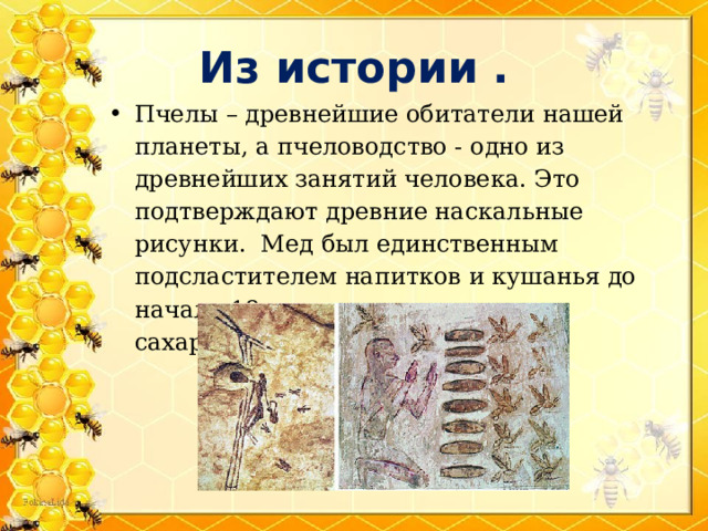 Из истории . Пчелы – древнейшие обитатели нашей планеты, а пчеловодство - одно из древнейших занятий человека. Это подтверждают древние наскальные рисунки. Мед был единственным подсластителем напитков и кушанья до начала 18 века, пока не появился сахар… 