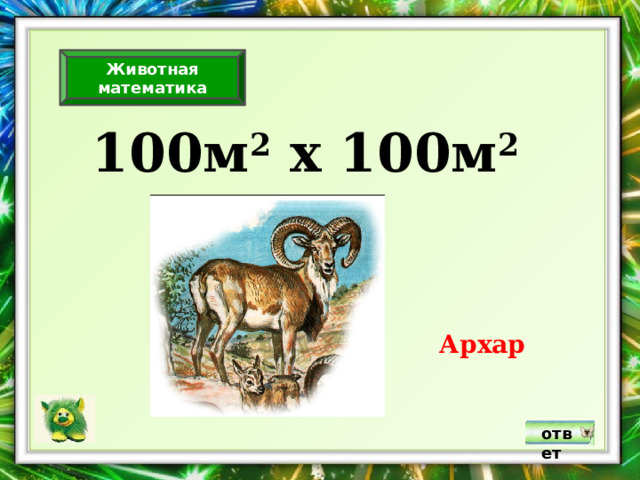 Животная математика 100м 2 х 100м 2 Архар ответ 