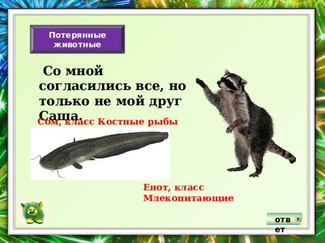 Потерянные животные  Со мной согласились все, но только не мой друг Саша. Сом, класс Костные рыбы Енот, класс Млекопитающие ответ 