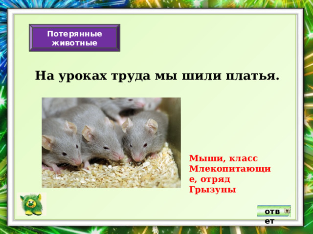Потерянные животные На уроках труда мы шили платья. Мыши, класс Млекопитающие, отряд Грызуны ответ 