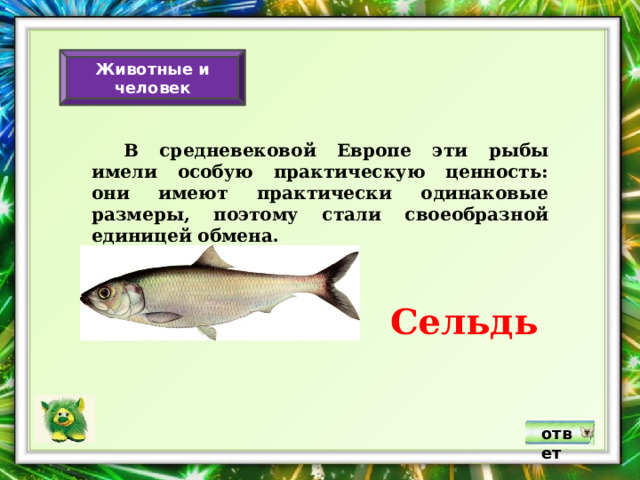 Животные и человек  В средневековой Европе эти рыбы имели особую практическую ценность: они имеют практически одинаковые размеры, поэтому стали своеобразной единицей обмена. Сельдь ответ 