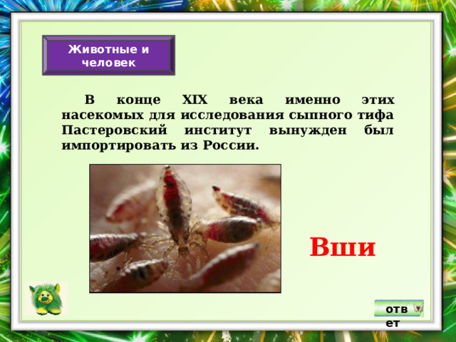 Животные и человек  В конце XIX века именно этих насекомых для исследования сыпного тифа Пастеровский институт вынужден был импортировать из России. Вши ответ 
